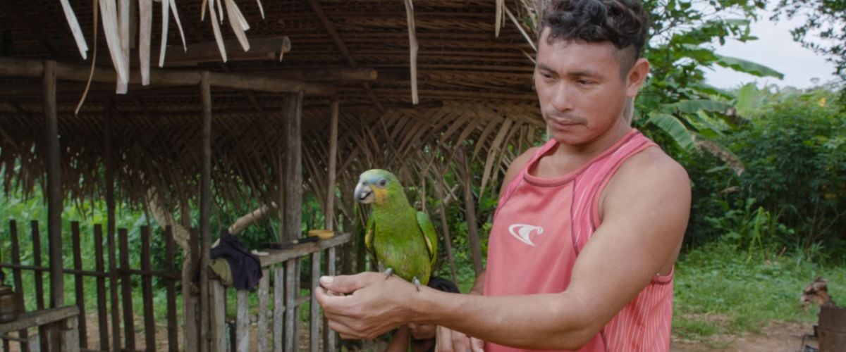 An indigenous man from Suriname in South America palances a parrot on his forearm.
