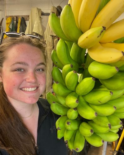 Island life has its perks, like this batch of bananas at the Guam site.