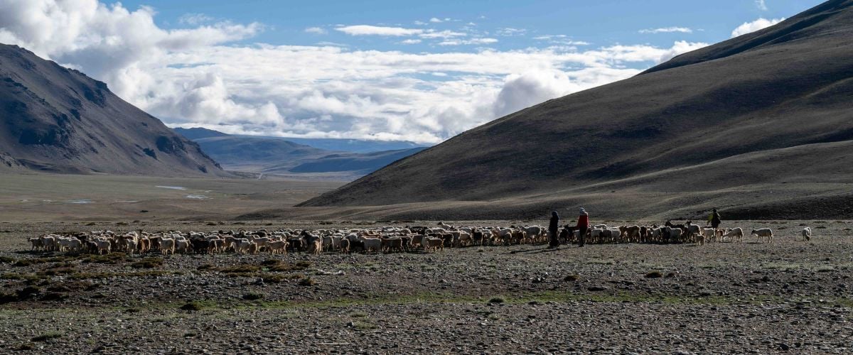 Joost Bastiaans, media manager for TWR Netherlands-Belgium, traveled to Asia with four pieces of luggage containing everything needed to assemble a compact audio studio &mdash; and minister to Tibetans. 